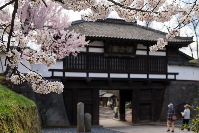 flickr Ladygogo 2.jpg